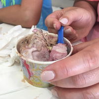 Frangipani Gelato - Lightning Ridge Tourism