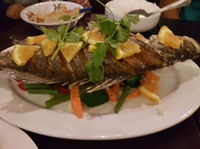 White Jasmine Thai Cuisine - Southport Accommodation