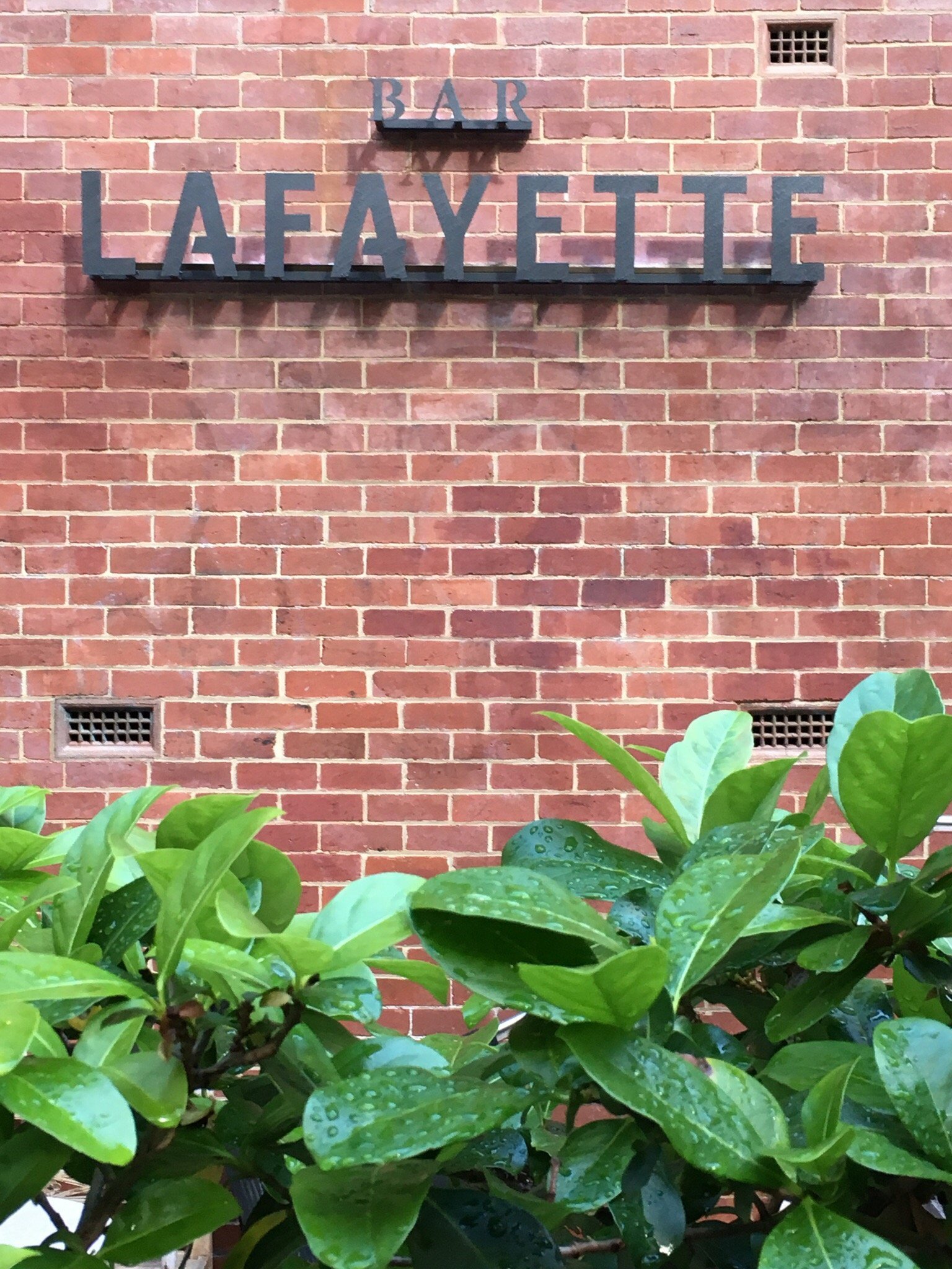 Bar Lafayette - Restaurants Sydney 6