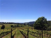 Barringwood Vineyard and Cellar Door Restaurant - New South Wales Tourism 