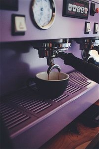 Swims East Coast Coffee - Accommodation Search