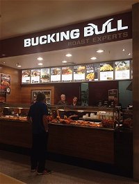 Bucking Bull - Tourism Caloundra