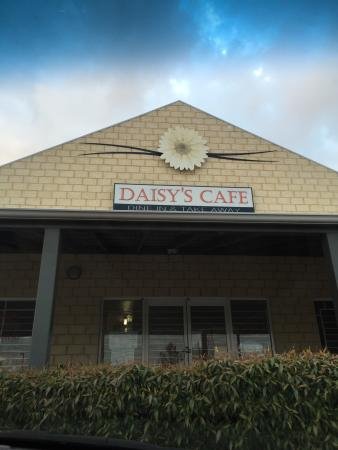 Daisy's Cafe - thumb 0