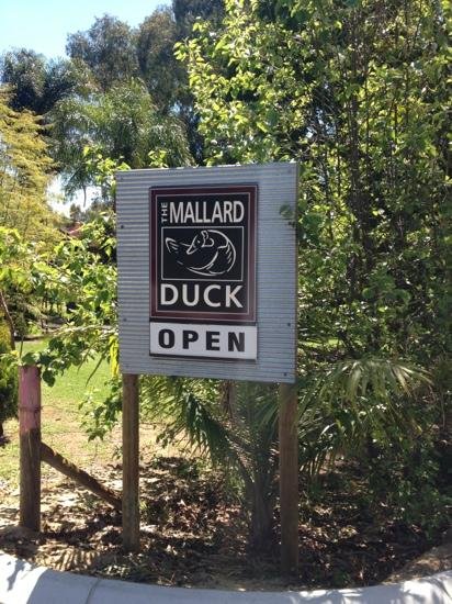 Mallard Duck - thumb 1