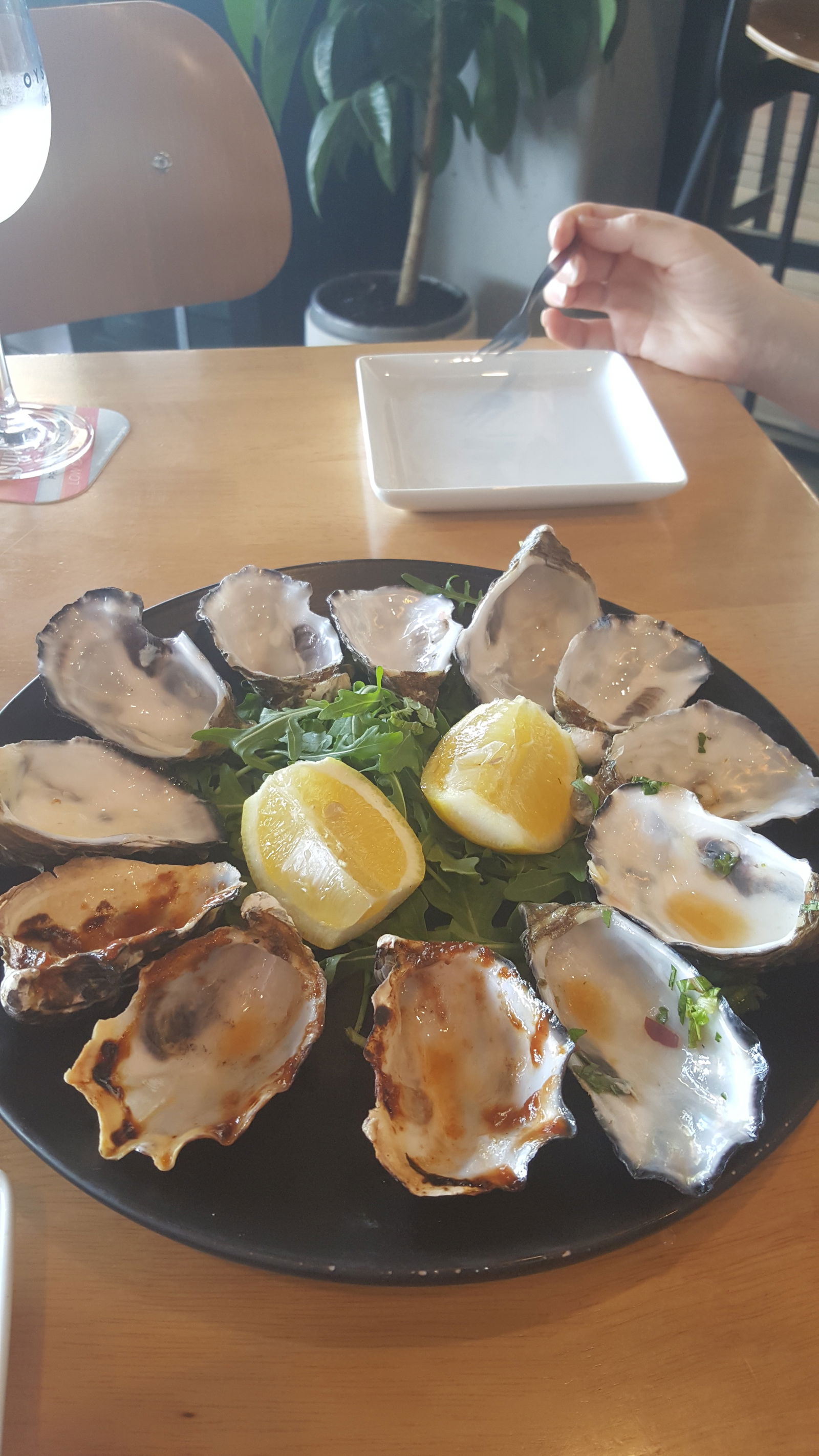 The Oyster Bar Mandurah - thumb 3