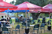 Tomato Lake Cafe - Accommodation Whitsundays