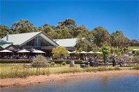 Cheeky Monkey Brewery and Cidery - Tourism Caloundra