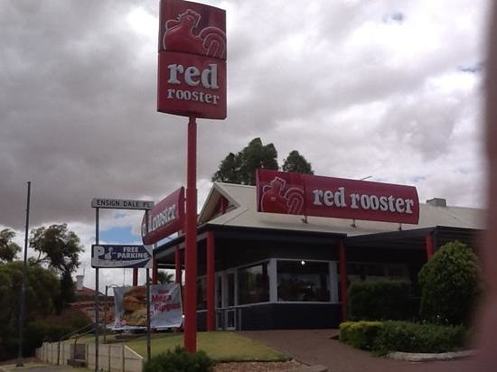 Red Rooster - Northern Rivers Accommodation