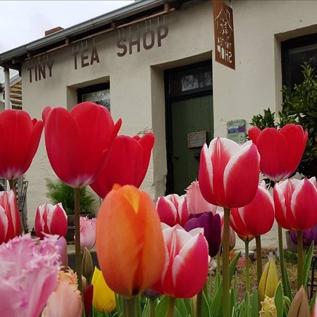Tiny Tea Shop - New South Wales Tourism 