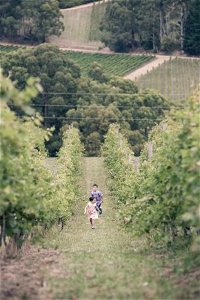 Greenhill Wines - Australia Accommodation