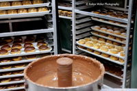 Krispy Kreme - Accommodation Port Hedland
