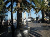 Makis Yiros BBQ  Takeaway - Accommodation Main Beach