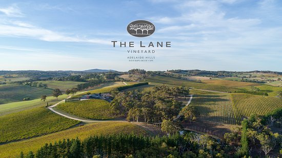 The Lane Vineyard - Australia Accommodation