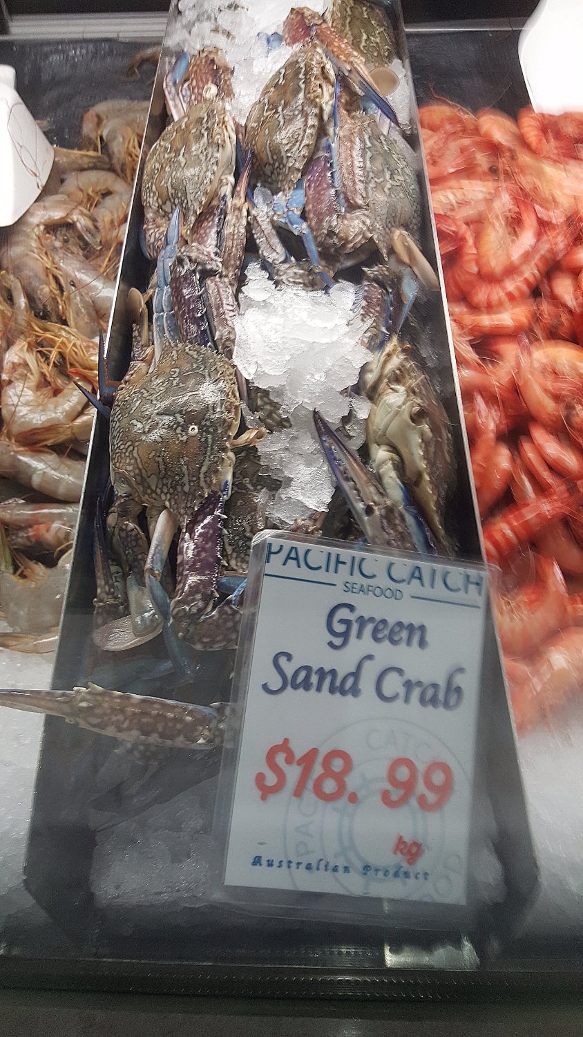 Pacific Catch Seafood - thumb 3