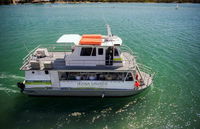 Noosa Cruiser Restaurant and Bar - Accommodation 4U