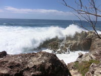 Point Lookout Bowls Club - Accommodation Mermaid Beach