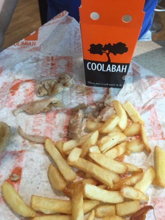 Coolabah Tree Cafe - Great Ocean Road Tourism