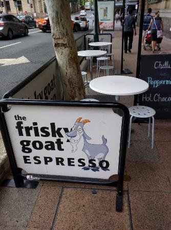 Frisky Goat Espresso - thumb 0