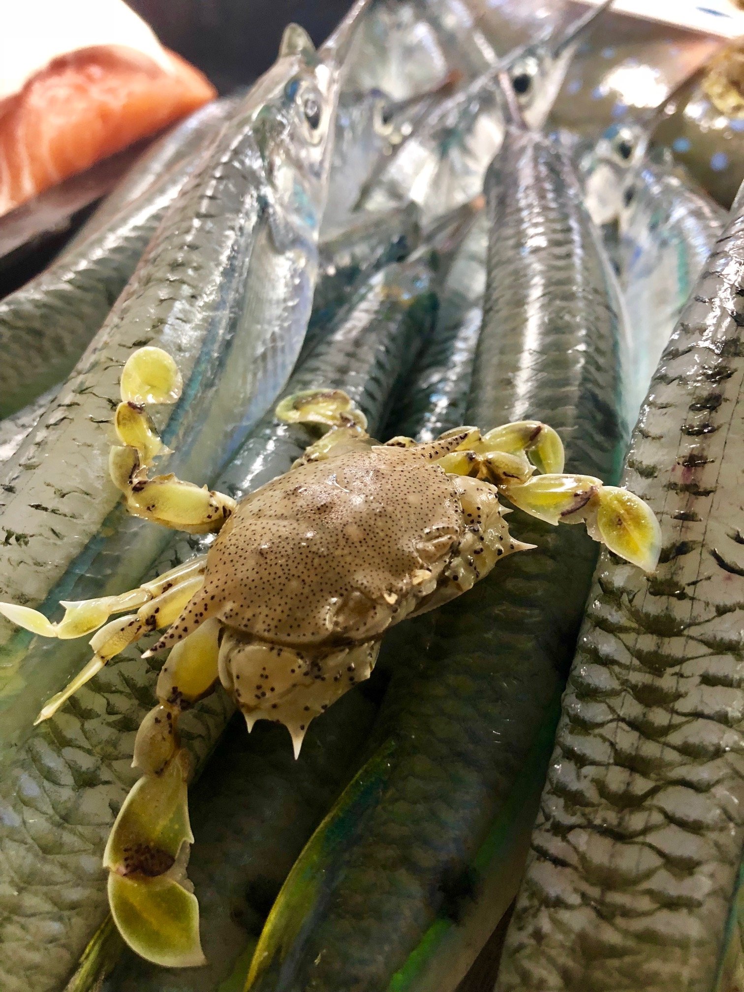 Innisfail Seafood - thumb 4