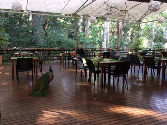 The Restaurant at Cedar Park - Northern Rivers Accommodation