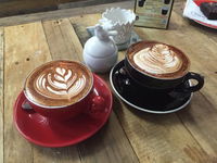 Blackbird Espresso by Coffee NQ - Accommodation Burleigh