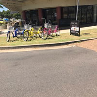 Bow  Arrow Juice Bar - Redcliffe Tourism