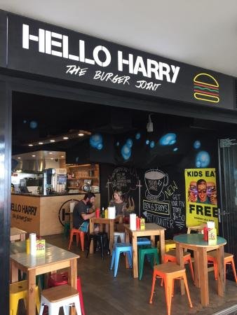 Hello Harry Caloundra - New South Wales Tourism 
