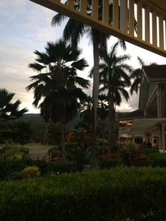 Paradise Palms Restaurant - thumb 5