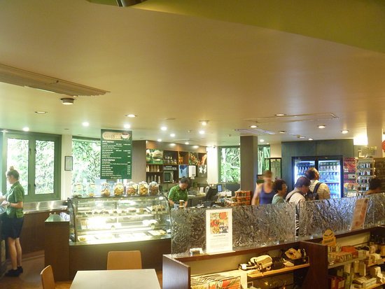Skyrail Canopy Cafe - Tourism Gold Coast