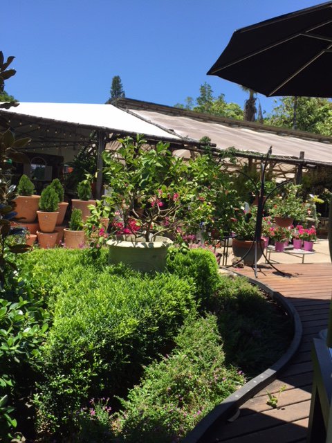 Vines Restaurant At Limberlost Nursery - thumb 4