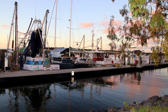 Cooloola Coast Seafoods - Northern Rivers Accommodation