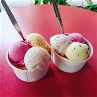 Daintree Ice Cream Company - New South Wales Tourism 