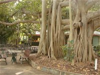 Gardens Tearooms - Port Augusta Accommodation