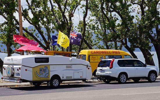 Jessies Cardwell Pies mobile Van - New South Wales Tourism 