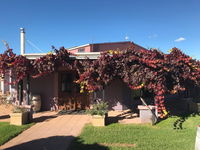 Jester Hill Wines - Hervey Bay Accommodation