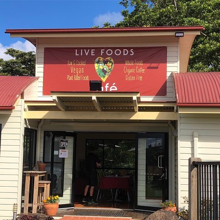 Live Foods Cafe  Restaurant - Australia Accommodation