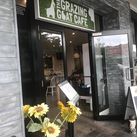 Grazing Goat Cafe - New South Wales Tourism 