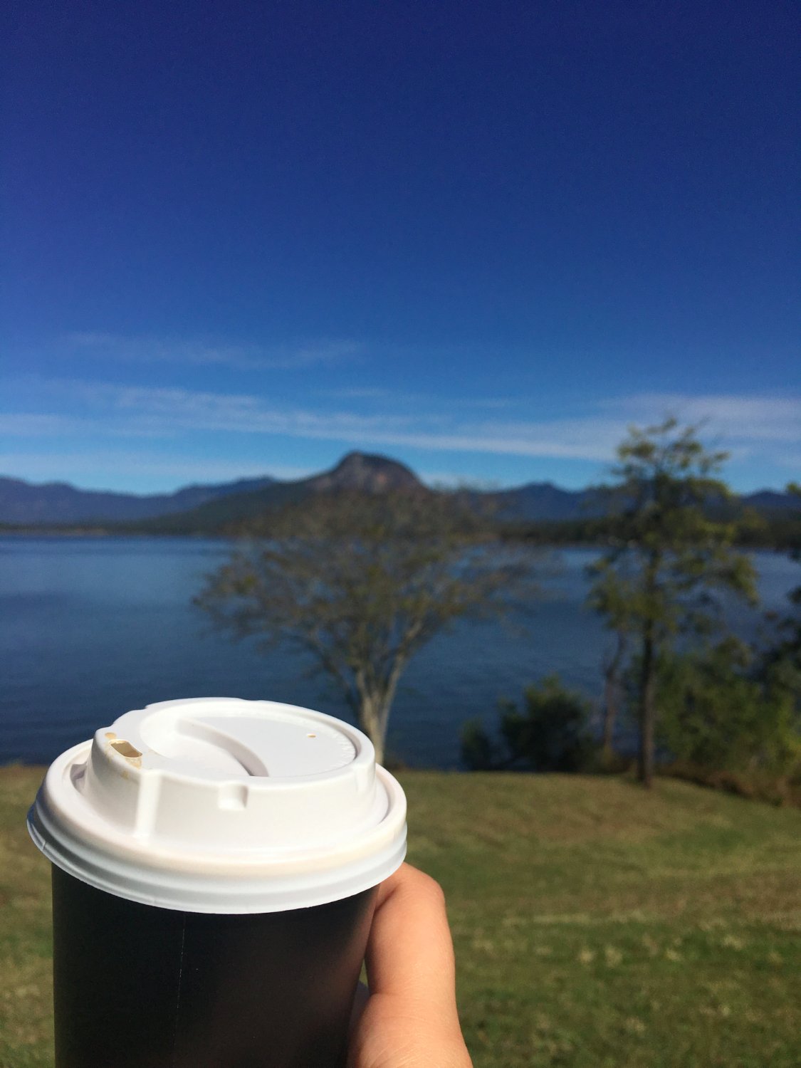 Lake Moogerah Cafe - thumb 1