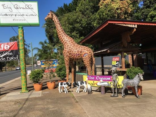 The Big Giraffe - New South Wales Tourism 