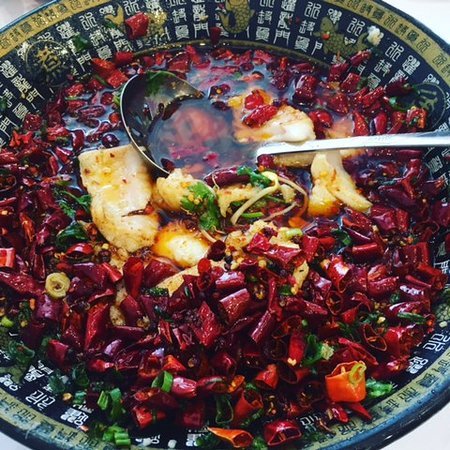 Red Chilli Sichuan Burwood - New South Wales Tourism 