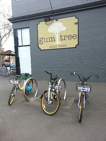 Gum Tree Good Food - New South Wales Tourism 