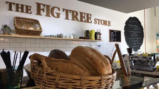 The Fig Tree Store - thumb 0