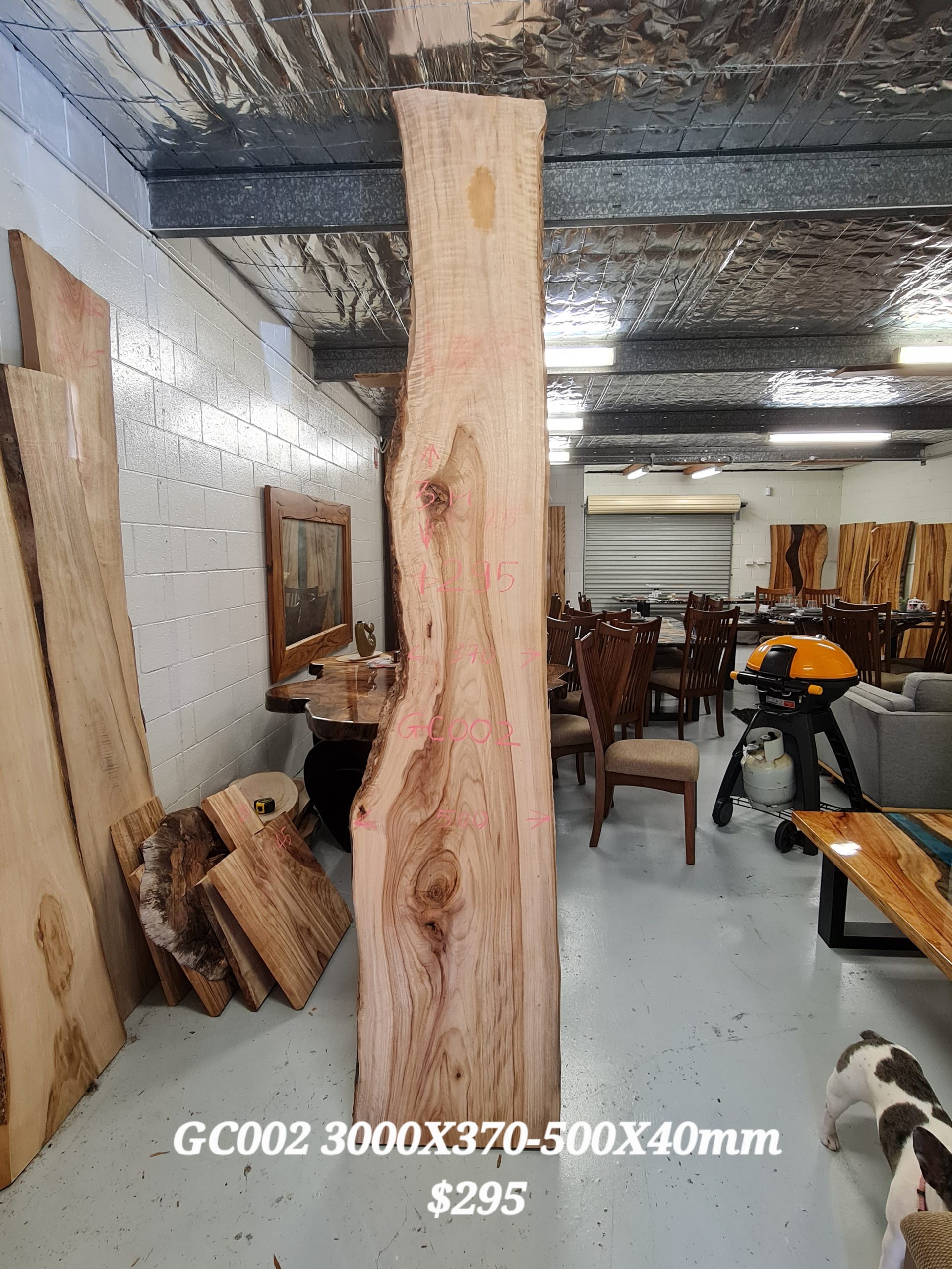 Camphor Slab GC002 3000×370-500x40mm