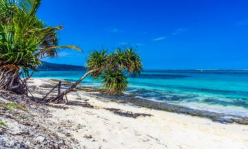 Bitcoin paradise? Briton creates ‘crypto utopia’ in South Pacific