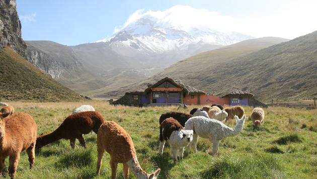 Ecuador Updates Entry Requirement Due To Omicron Variant’s Emergence