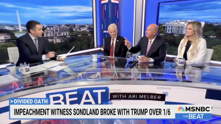 Accommodation New Zealand News, Former Never-Trump Impeachment Witness Flips Back To DJT, Makes MSNBC Host Melt Down On-Air