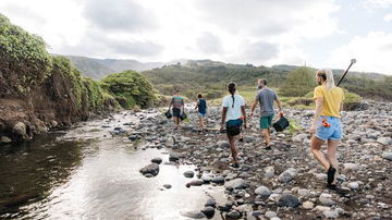 Hawaii Announces Changes to Safe Travels Program