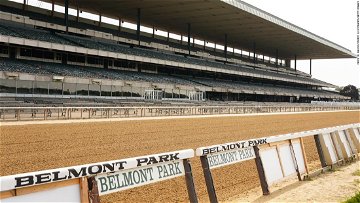 Horse dies at Belmont Park after sustaining injury during race ahead of next week's Triple Crown finale