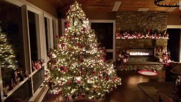How to give your Christmas tree a second life after the holiday