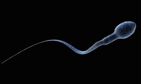 Humans could face reproductive crisis as sperm count declines, study finds